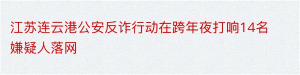 江苏连云港公安反诈行动在跨年夜打响14名嫌疑人落网