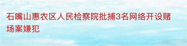 石嘴山惠农区人民检察院批捕3名网络开设赌场案嫌犯