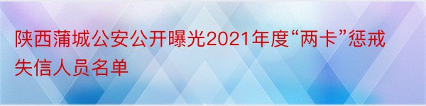 陕西蒲城公安公开曝光2021年度“两卡”惩戒失信人员名单