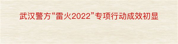 武汉警方“雷火2022”专项行动成效初显